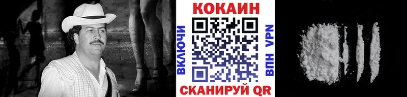 Кокаин Эквадор  купить наркотики цена  гидра   Сертолово 