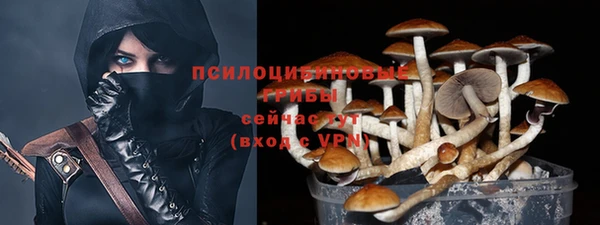 соль ск Арсеньев
