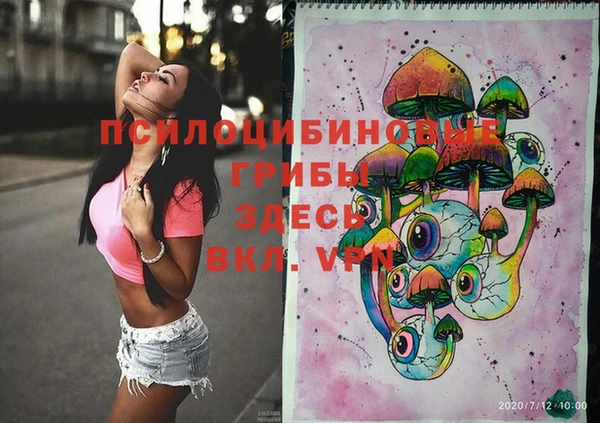 спиды Аркадак