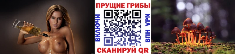 Псилоцибиновые грибы Magic Shrooms  Сертолово 